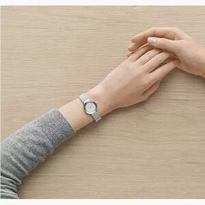 Skagen Denmark Mesh Band Watch